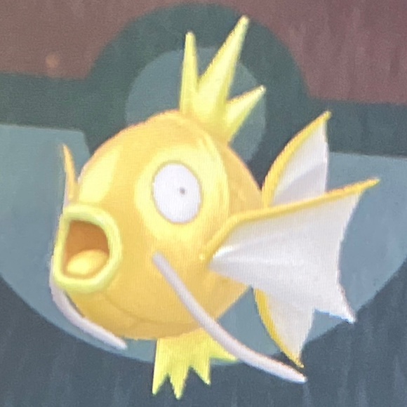 allisongleicher